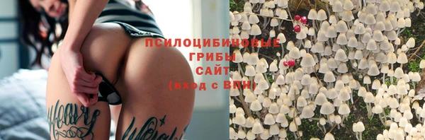 бошки Богданович